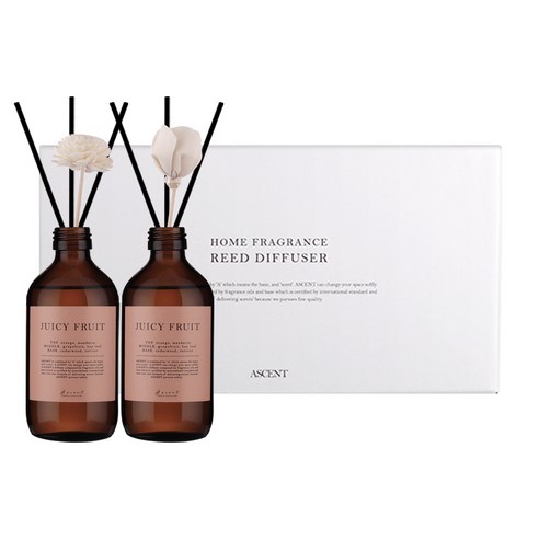 에이센트 네이처 디퓨저 본품형 200ml x 2p 세트, 쥬시프룻, 1개