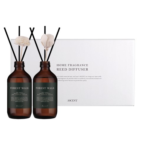 에이센트 네이처 본품형 디퓨저 200ml x 2p 세트, 포레스트워크