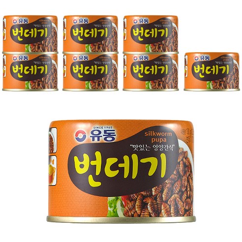 유동 번데기, 130g, 8개