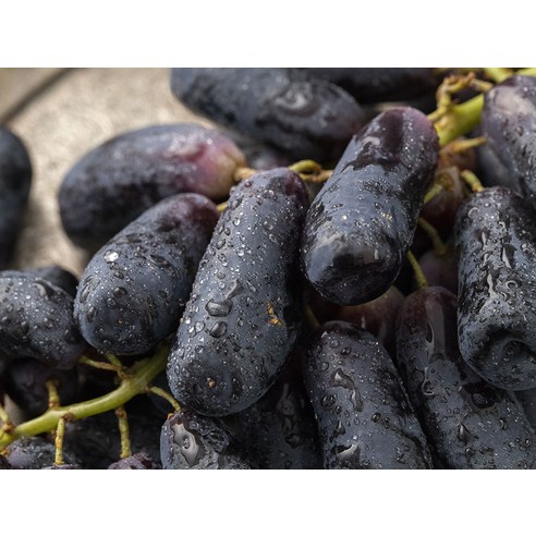 입안 가득 퍼지는 황홀경, 호주산 스위트 사파이어 포도