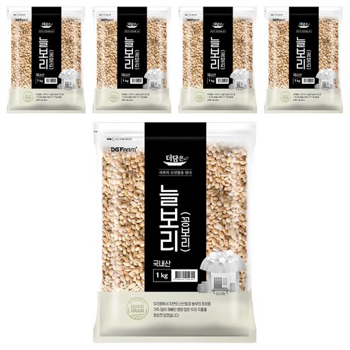 더담은 국산 늘보리 꽁보리, 1kg, 5개