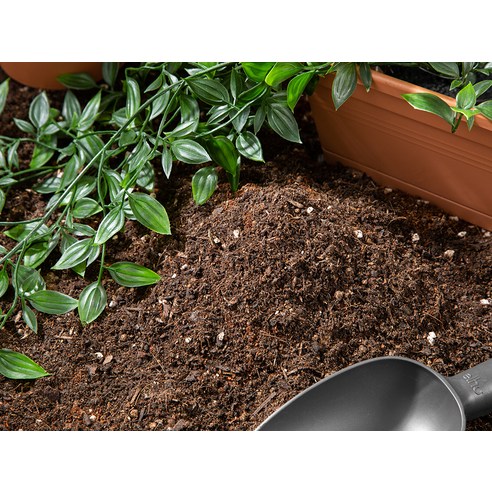 생명의 기운을 불어넣는 마법, 탐사 화분갈이 혼합토