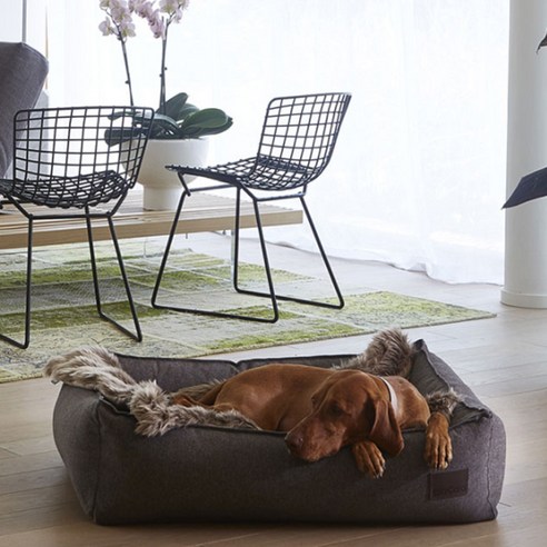 미아카라 NUBE Dog Cushion 강아지 침대, Tobacco, 1개