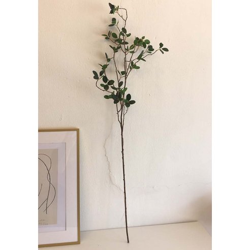 시들 걱정 없이 공간에 싱그러움을 더하다, 자포니카 조화가지