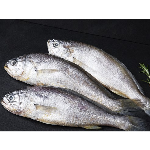 바람에 말린 맛의 향연, 영광 법성포 줄줄이굴비