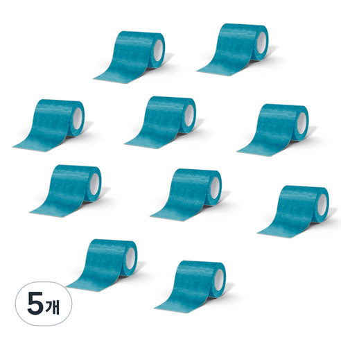데이바이데이 바른생활이야기 밴드 7.5cm x 4.5m 블루, 5개, 10개입