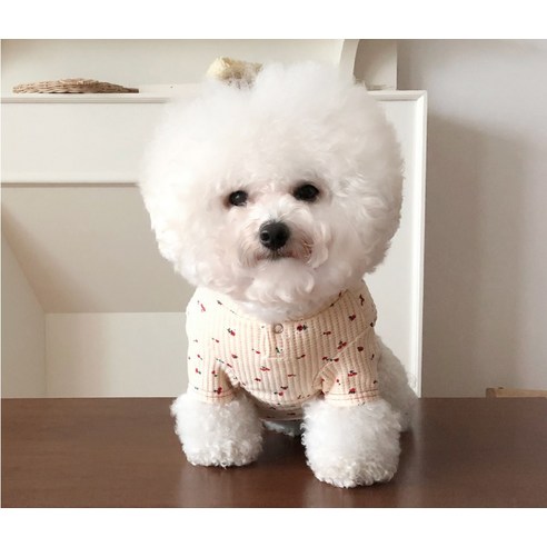 바이담수미 강아지 체리 와플 티셔츠, 아이보리