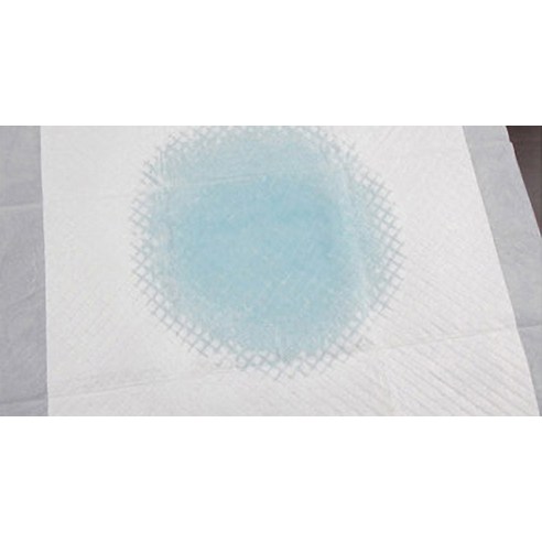 쾌적하고 효과적인 반려견 배변 솔루션