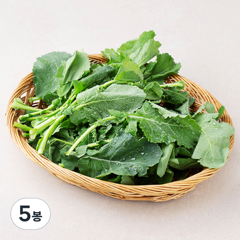 국내산 유채나물, 150g, 5봉