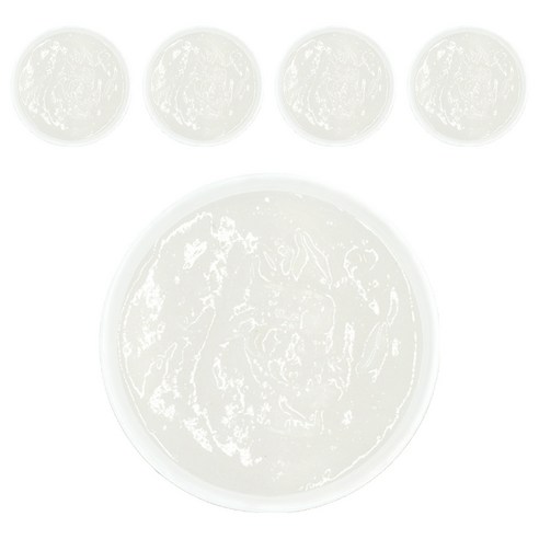 짱죽 실온이유식 초기, 쌀눈쌀미음, 160g, 5개