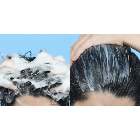 Tips Image
