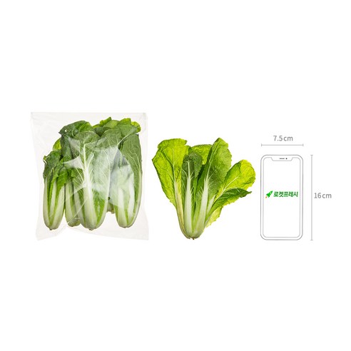 국내산 예냉 솎음, 300g, 1개