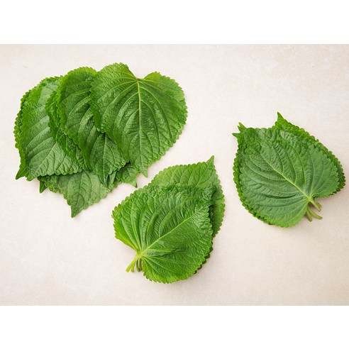 향긋한 밀양 깻잎으로 식탁을 풍요롭게, 건강하게!