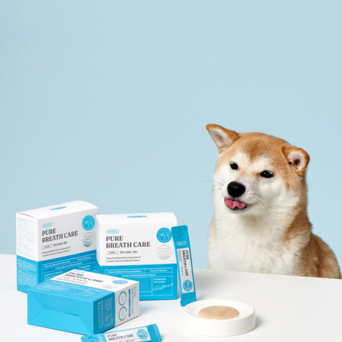 반려견 호흡기 건강을 위한 프로젝트21 반려동물 영양제