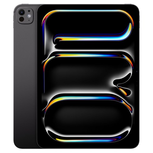 Apple 정품 2024 아이패드 프로 11 M4칩 Nano-texture 글래스, 스페이스블랙, 2TB, Wi-Fi+Cellular