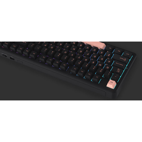 독거미 키보드: 짜릿한 타건감으로 당신의 가능성을 펼쳐내다.