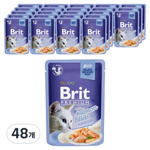 브리트 캣 프리미엄 파우치 습식사료 젤리 연어, 85g, 48개