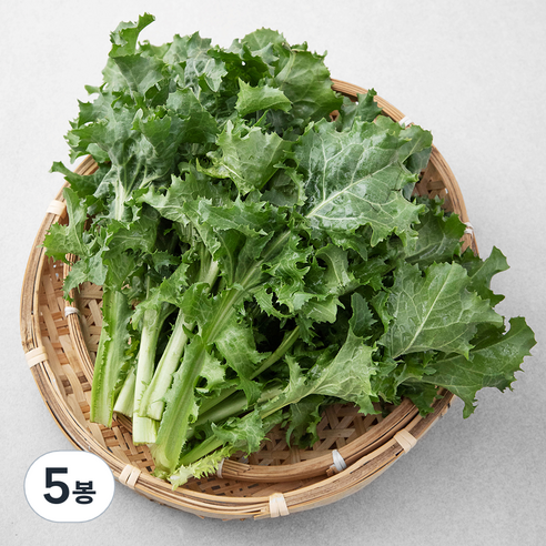 친환경 치커리, 300g, 5봉