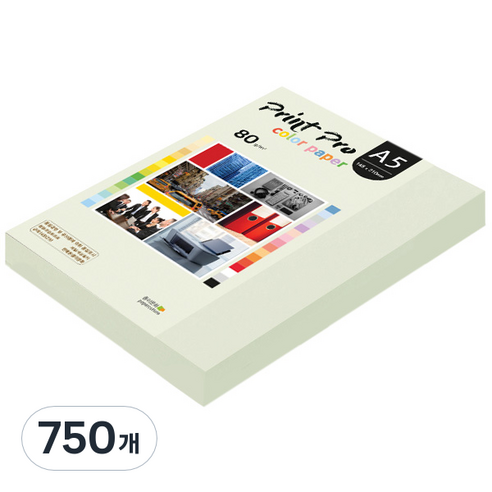 종이문화 프린트 프로 칼라 복사용지 No 18 라이트그레이 80g, A5, 750개