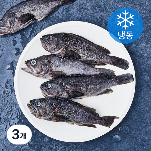 통영원 국내산 손질 우럭 (냉동), 3개, 700g(5미)