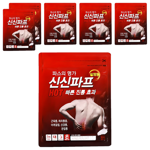 신신제약 신신파프 핫 파스, 5개입, 6개