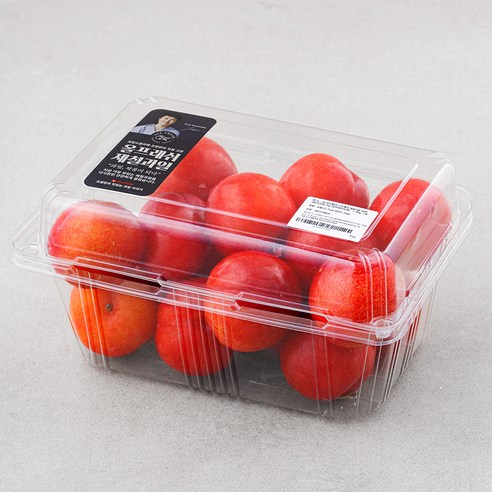 올프레쉬 새콤달콤 GAP 저탄소인증 와촌 대석자두(특대), 1.2kg, 1팩