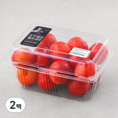 올프레쉬 새콤달콤 GAP 저탄소인증 와촌 대석자두(특대), 1.2kg, 2팩