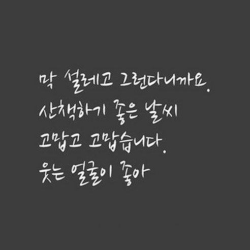 SP-G812 펀 래터링 02, 화이트