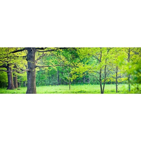 하우디 내츄럴벽지, N-1184