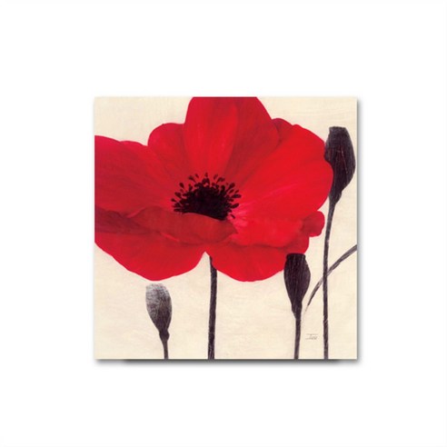프로방스홈 액자, 빨간꽃 19