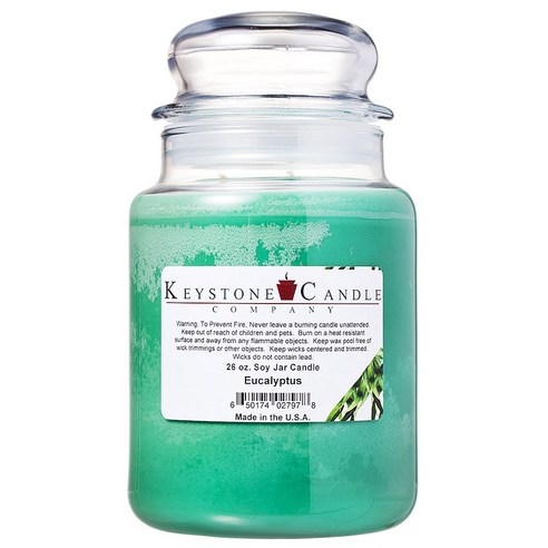 키스톤캔들 소이 자 캔들, Eucalytus, 768.9ml