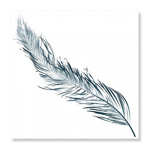 디아섹액자 벽걸이및테이플용, Blue feather