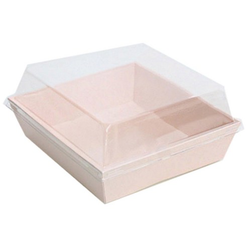 春季野餐便當盒 便當盒 一次性飯盒 一次性容器 野餐飯盒 便當套裝 老師便當盒 一次性飯盒容器 飯盒套裝 野餐飯盒