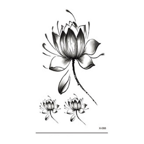 허니걸 타투, X-088, 5개