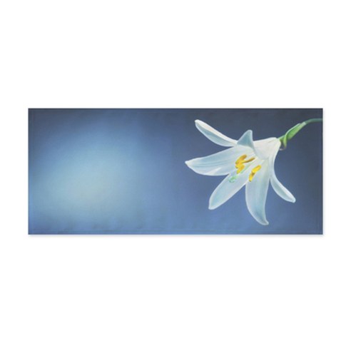 어번던스 보테니컬디자인 바란스 커튼, GM 76589