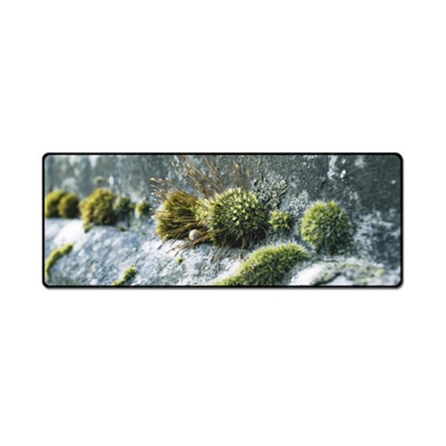 더파슬리 보테니컬 스퀘어 데스크매트 와이드사이즈 80 x 30 cm, GM77546, 1개