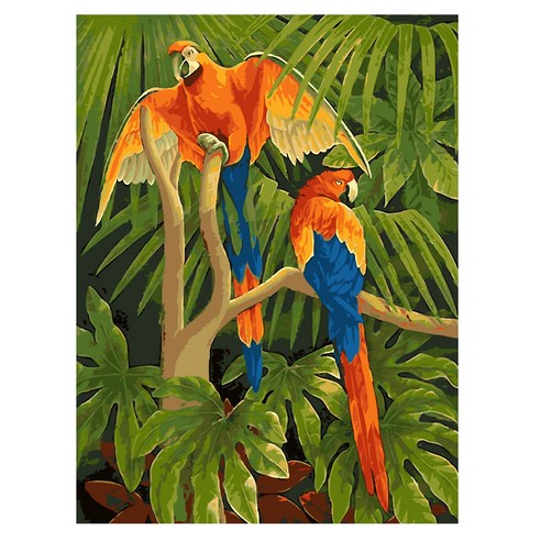 필립로지스틱 DIY 그림그리기 40 x 50 cm, 앵무새두마리