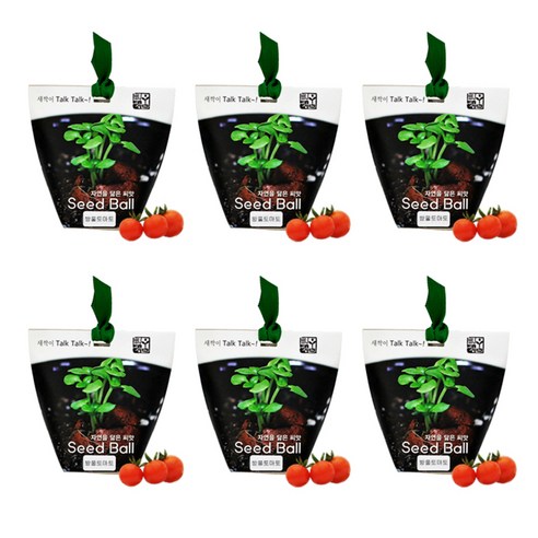 틔움세상 자연을 닮은 씨앗 Seed Ball 4p, 방울토마토