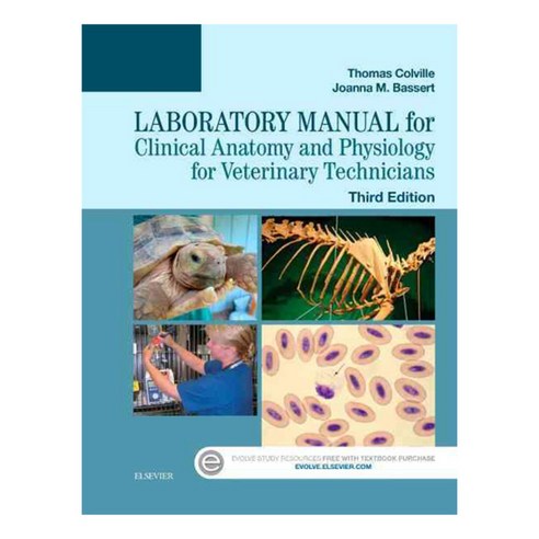[해외도서] Clinical Anatomy and Physiology for Veterinary Technicians, Mosby