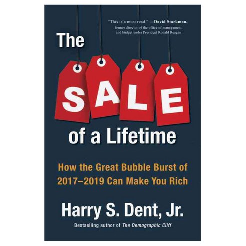The Sale of a Lifetime: How the Great Bubble Burst of 2017-2019 Can Make You Rich, Portfolio