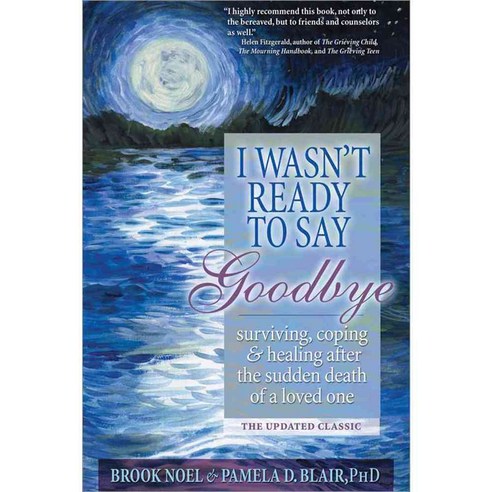 [해외도서] I Wasn''t Ready to Say Goodbye, Sourcebooks