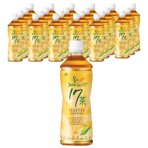 남양유업 몸이 가벼워지는 시간 17차 로스티드 구수한맛, 500ml, 24개