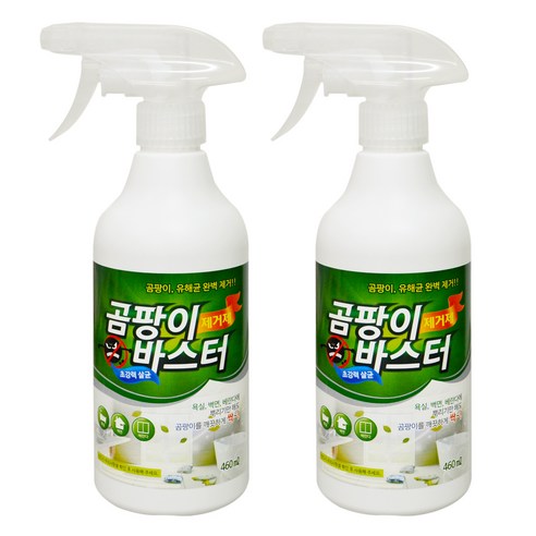 디오페인트 곰팡이 바스터 제거제, 460ml, 2개