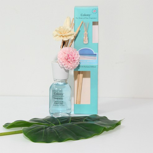콜로니 홈프라그랑스 컬렉션 디퓨져 120ml, COASTAL BREEZE