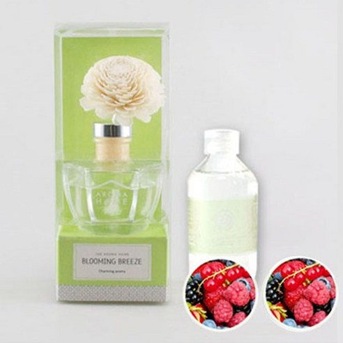 아로마홈 솔라 디퓨져 + 디퓨져 리필 용액 200ml, 블루밍 브리즈