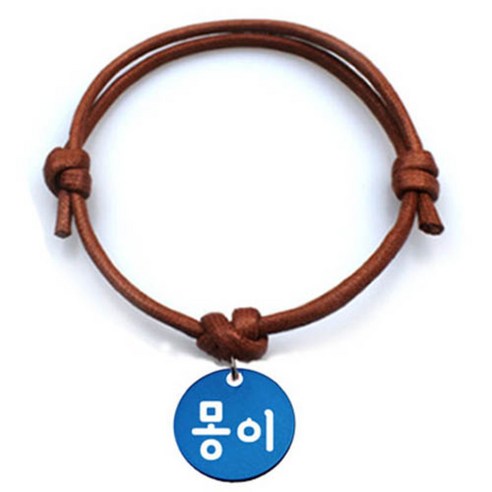 펫츠룩 굿모닝 카라멜 반려동물 목걸이 S 알미늄원형 팬던트 M, 블루(몽이), 1개