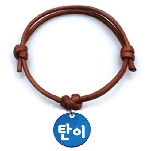 펫츠룩 굿모닝 카라멜 반려동물 목걸이 S 알미늄원형 팬던트 M, 블루(탄이), 1개