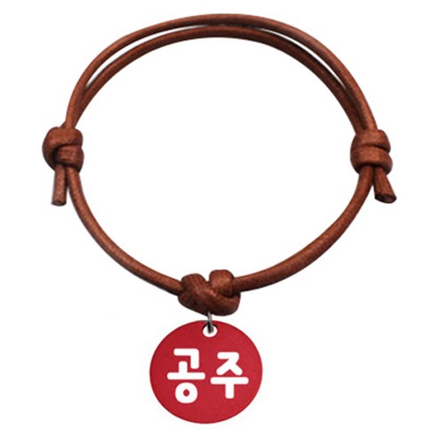 펫츠룩 굿모닝 카라멜 반려동물 목걸이 S 알미늄원형 팬던트 M, 레드(공주), 1개
