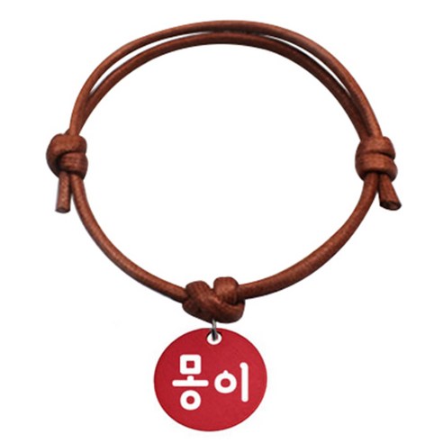 펫츠룩 굿모닝 카라멜 반려동물 목걸이 S 알미늄원형 팬던트 M, 레드(몽이), 1개