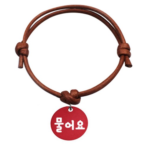 펫츠룩 굿모닝 카라멜 반려동물 목걸이 S 알미늄원형 팬던트 M, 레드(물어요), 1개
